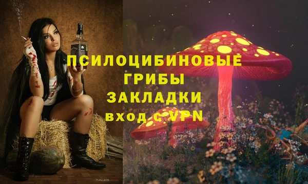 PSILOCYBIN Пестово