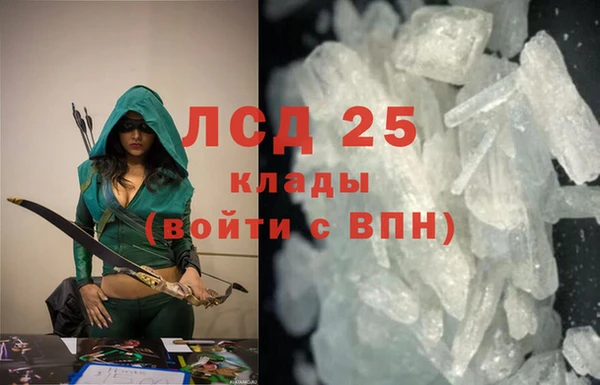PSILOCYBIN Пестово