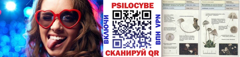 Галлюциногенные грибы мухоморы  МЕГА маркетплейс  Сокол  наркотики 
